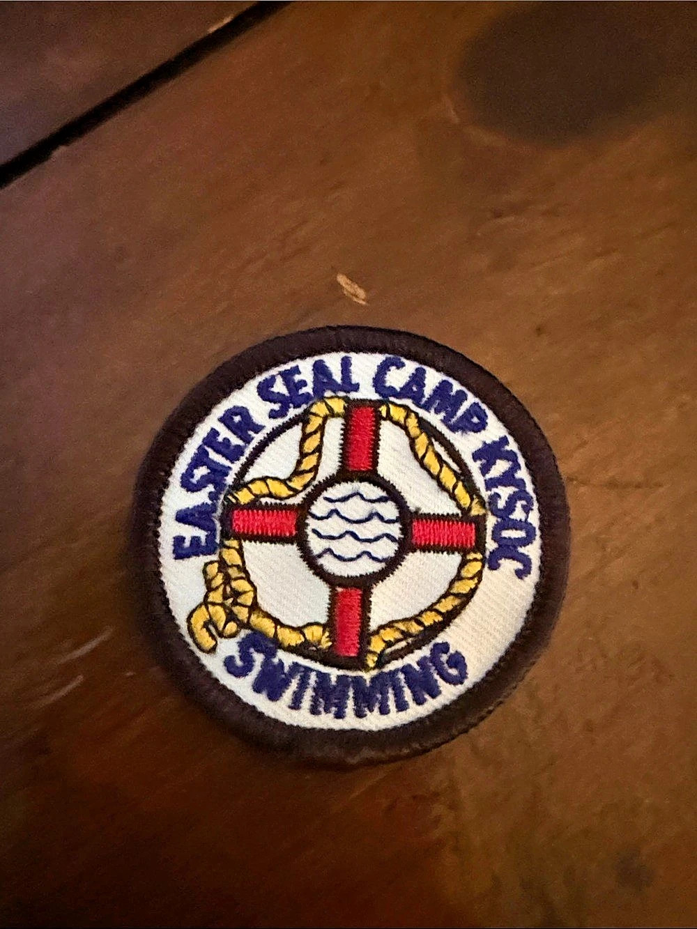 Swimming Camp Patch